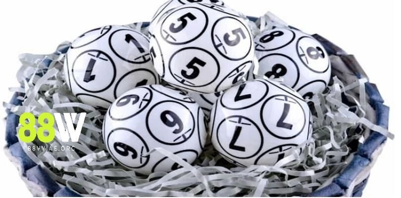 Một vài điều căn bản về soi cầu rồng bạch kim